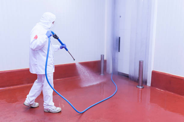 Best Sidewalk and Walkway Cleaning  in Julesburg, CO